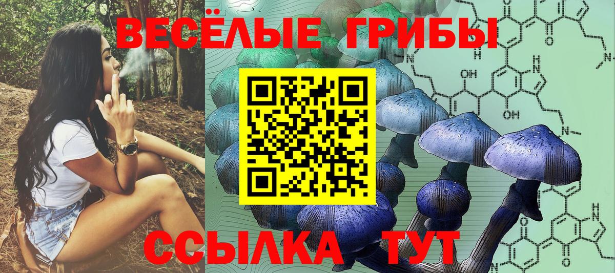Псилоцибиновые грибы мухоморы  Вход с VPN  Галлюциногенные грибы Psilocybe  где можно купить наркотик  Мичуринск 